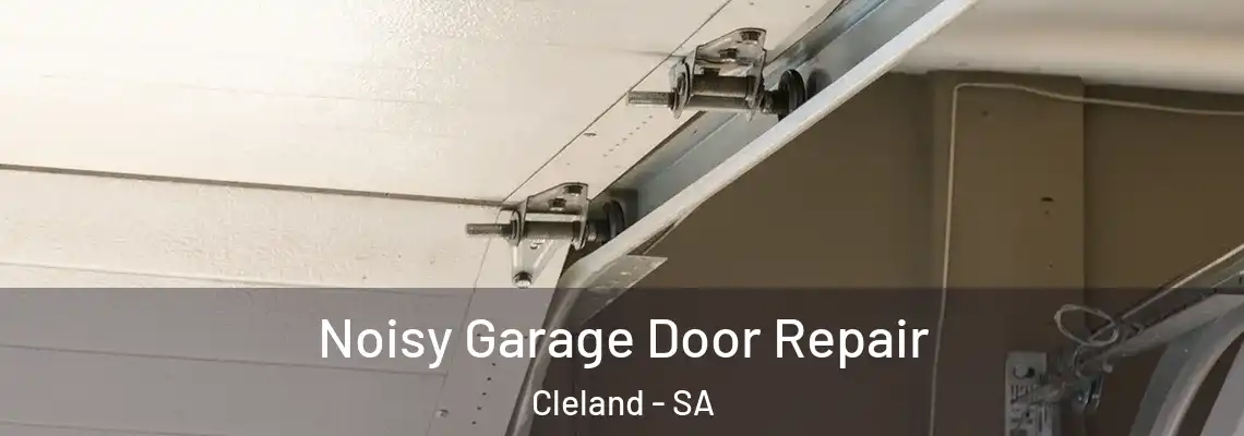 Noisy Garage Door Repair Cleland - SA