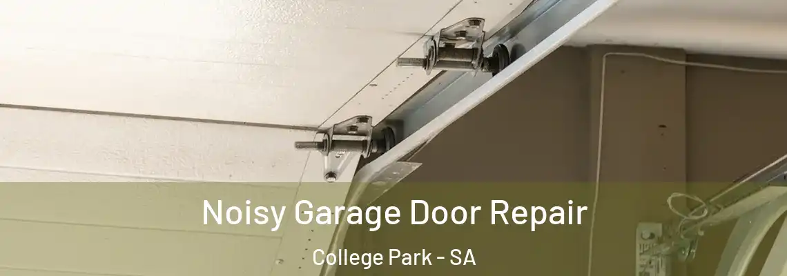 Noisy Garage Door Repair College Park - SA