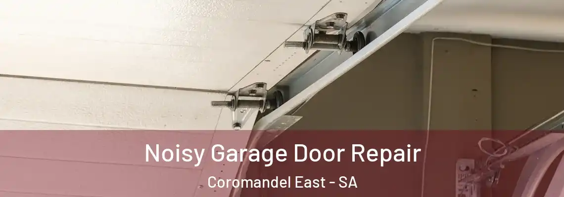 Noisy Garage Door Repair Coromandel East - SA