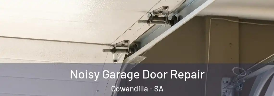  Noisy Garage Door Repair Cowandilla - SA