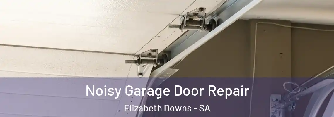 Noisy Garage Door Repair Elizabeth Downs - SA