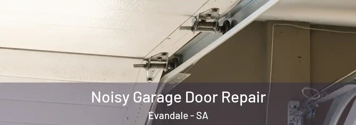 Noisy Garage Door Repair Evandale - SA