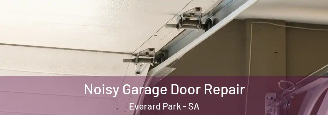  Noisy Garage Door Repair Everard Park - SA