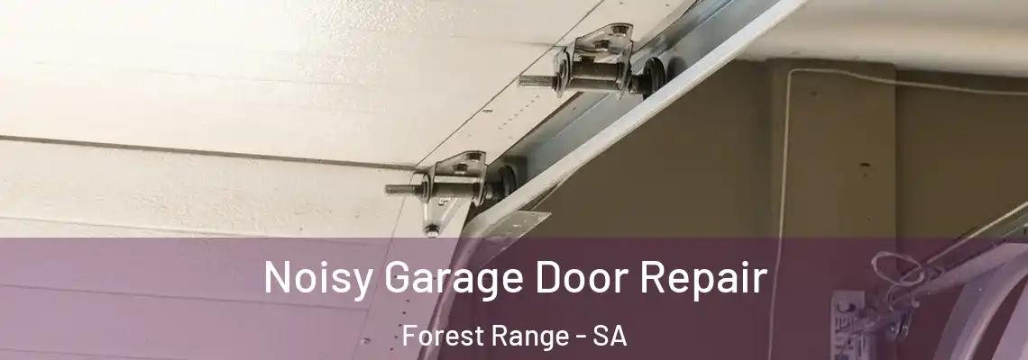 Noisy Garage Door Repair Forest Range - SA