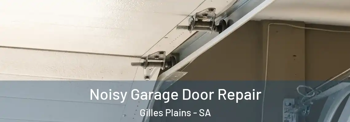 Noisy Garage Door Repair Gilles Plains - SA