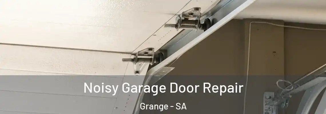 Noisy Garage Door Repair Grange - SA