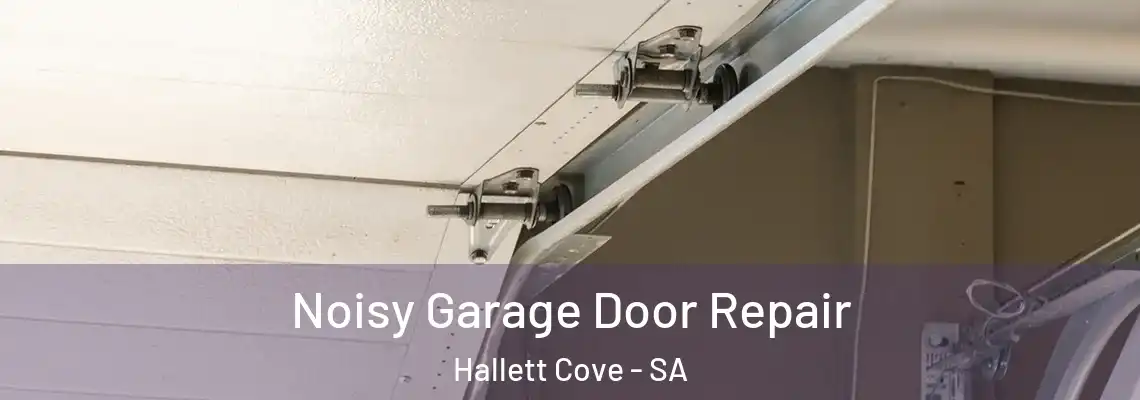Noisy Garage Door Repair Hallett Cove - SA