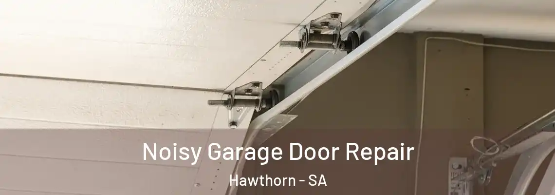 Noisy Garage Door Repair Hawthorn - SA