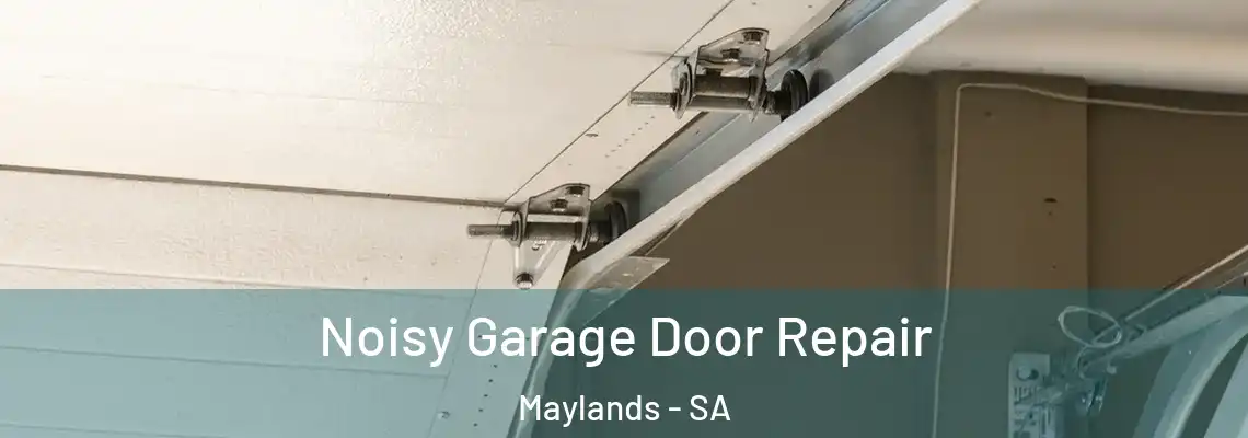  Noisy Garage Door Repair Maylands - SA