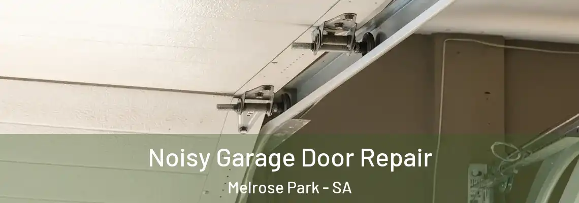 Noisy Garage Door Repair Melrose Park - SA
