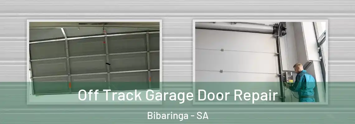 Off Track Garage Door Repair Bibaringa - SA