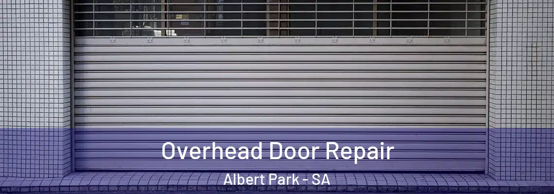 Overhead Door Repair Albert Park - SA