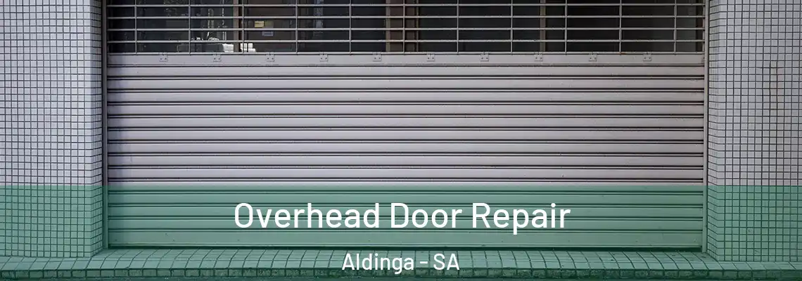 Overhead Door Repair Aldinga - SA