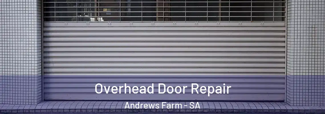  Overhead Door Repair Andrews Farm - SA