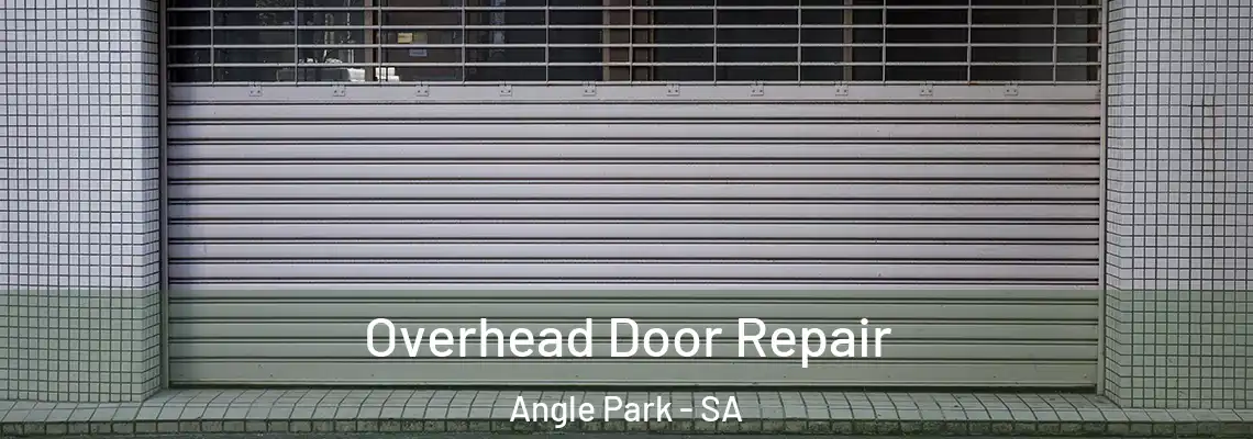 Overhead Door Repair Angle Park - SA