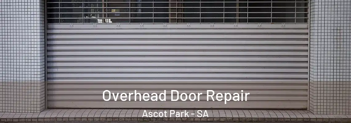 Overhead Door Repair Ascot Park - SA