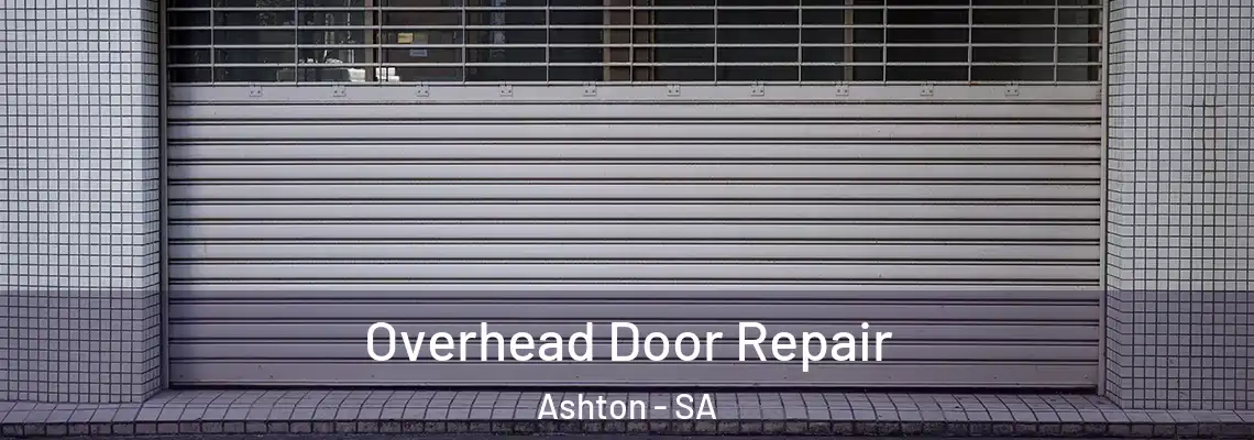  Overhead Door Repair Ashton - SA