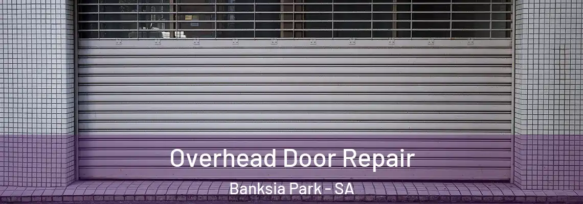 Overhead Door Repair Banksia Park - SA