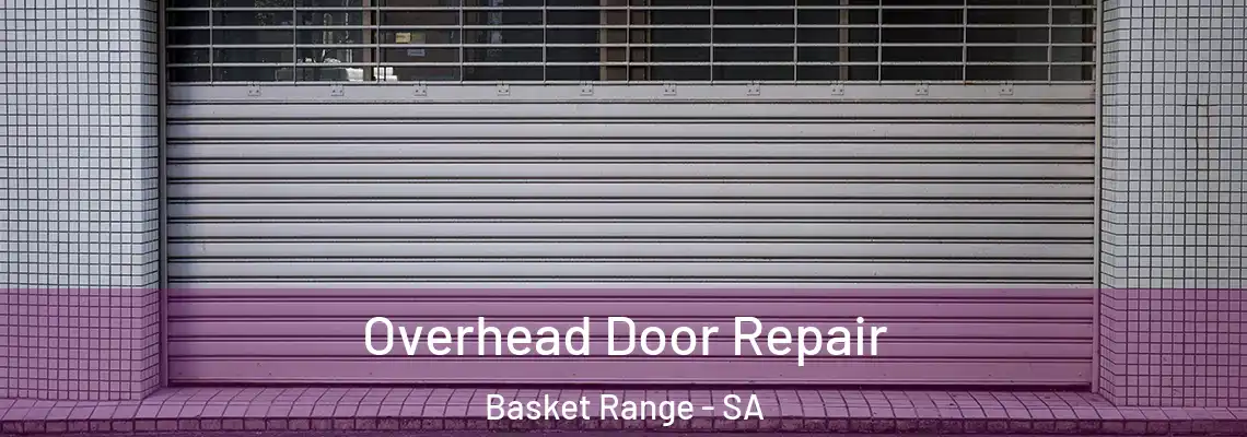 Overhead Door Repair Basket Range - SA
