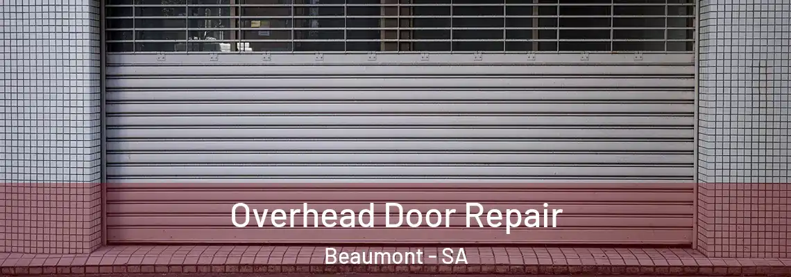  Overhead Door Repair Beaumont - SA