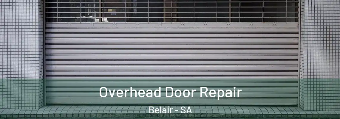 Overhead Door Repair Belair - SA