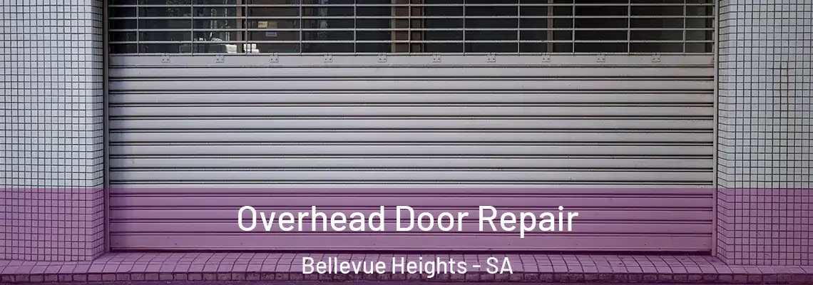  Overhead Door Repair Bellevue Heights - SA