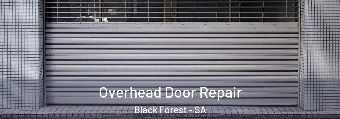 Overhead Door Repair Black Forest - SA