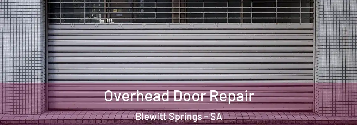 Overhead Door Repair Blewitt Springs - SA