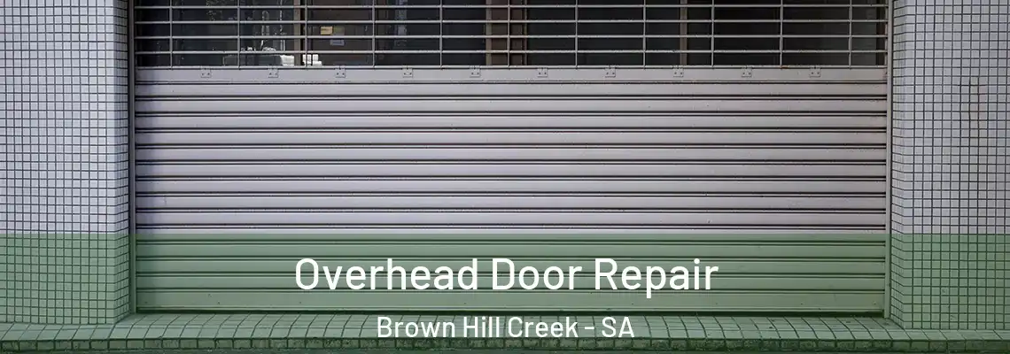 Overhead Door Repair Brown Hill Creek - SA