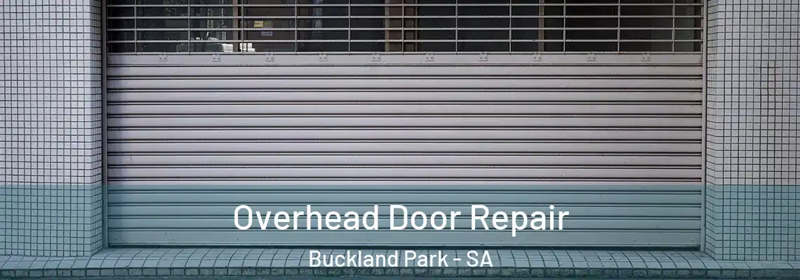  Overhead Door Repair Buckland Park - SA
