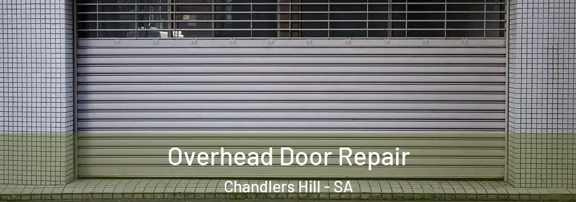 Overhead Door Repair Chandlers Hill - SA