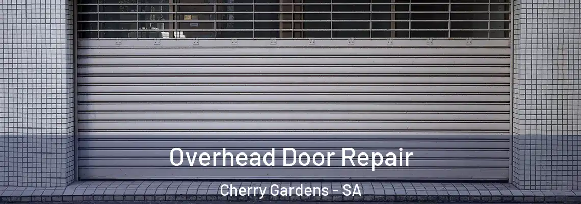 Overhead Door Repair Cherry Gardens - SA