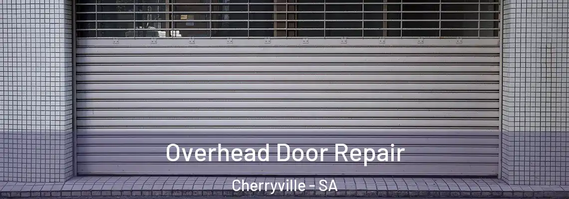  Overhead Door Repair Cherryville - SA