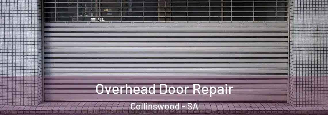 Overhead Door Repair Collinswood - SA