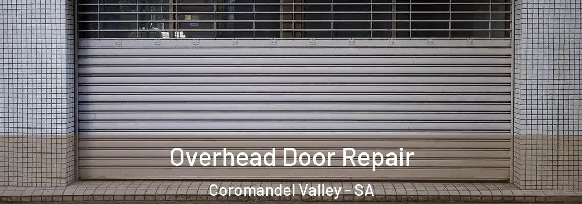 Overhead Door Repair Coromandel Valley - SA