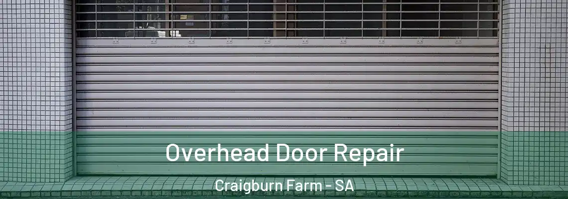  Overhead Door Repair Craigburn Farm - SA