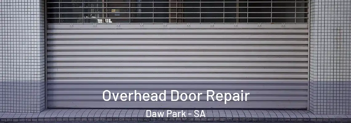 Overhead Door Repair Daw Park - SA
