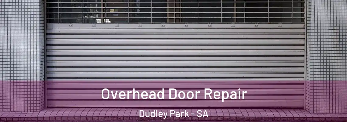 Overhead Door Repair Dudley Park - SA