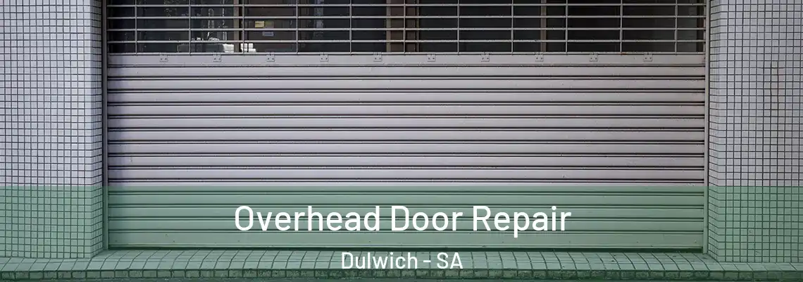 Overhead Door Repair Dulwich - SA