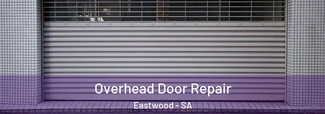  Overhead Door Repair Eastwood - SA