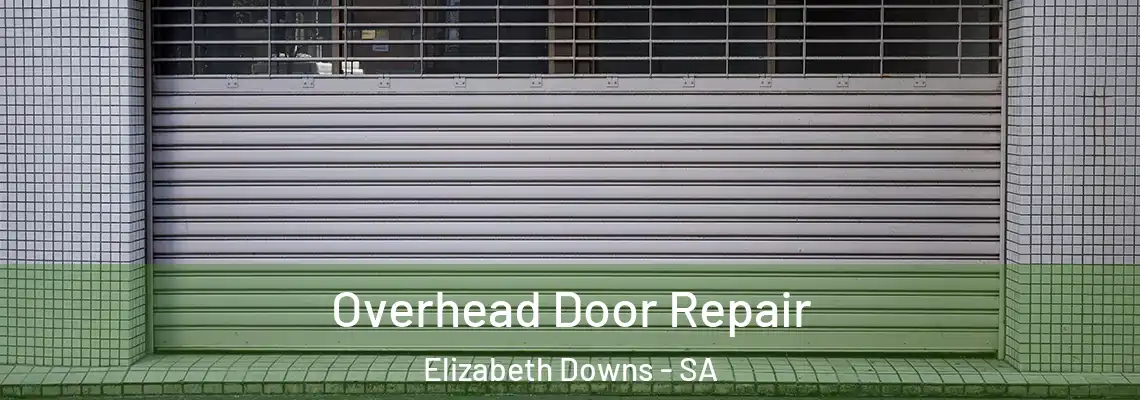 Overhead Door Repair Elizabeth Downs - SA