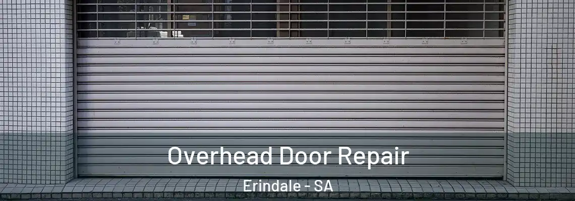 Overhead Door Repair Erindale - SA
