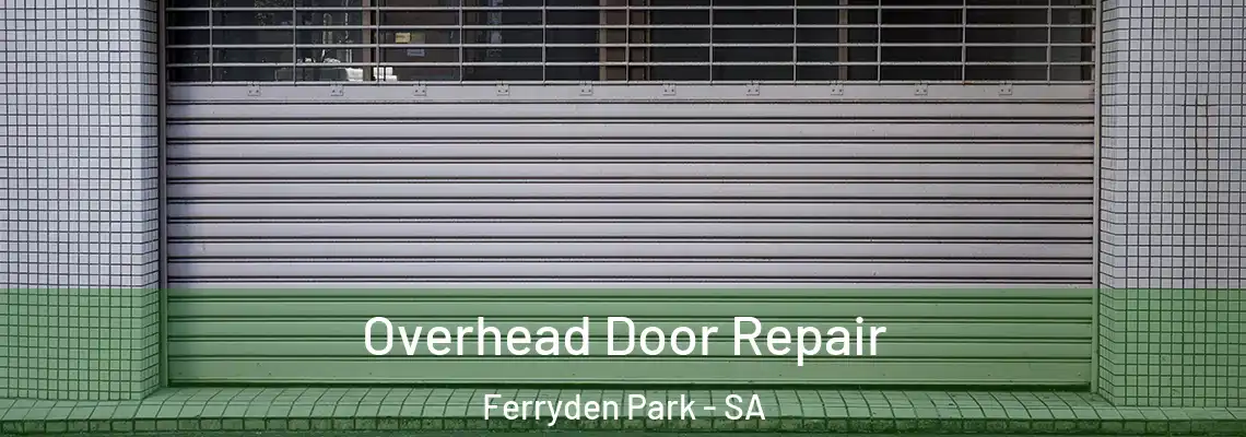  Overhead Door Repair Ferryden Park - SA