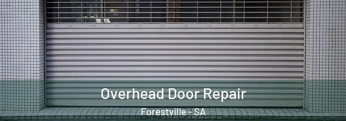 Overhead Door Repair Forestville - SA