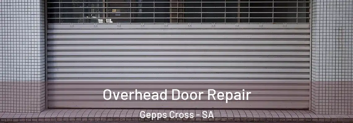  Overhead Door Repair Gepps Cross - SA