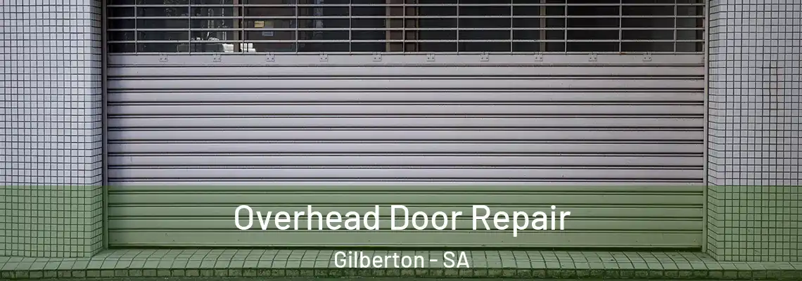 Overhead Door Repair Gilberton - SA
