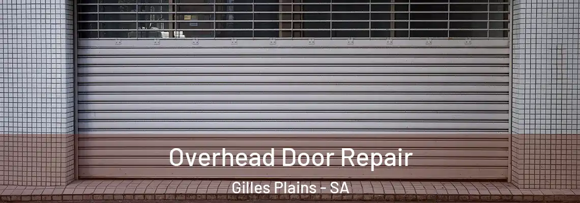 Overhead Door Repair Gilles Plains - SA