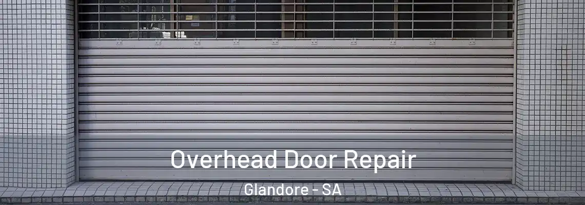Overhead Door Repair Glandore - SA