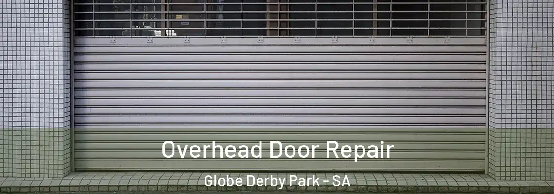 Overhead Door Repair Globe Derby Park - SA