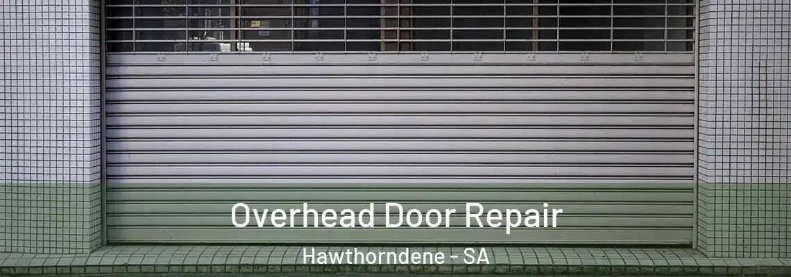 Overhead Door Repair Hawthorndene - SA